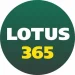 Lotus365 Bet
